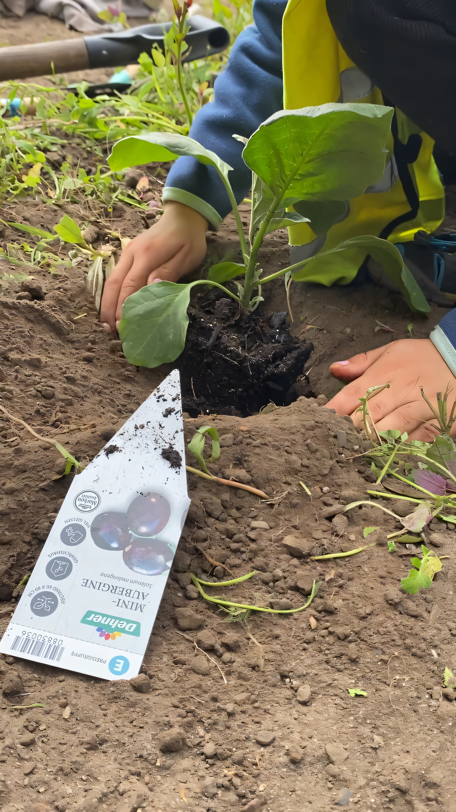 Kinder pflanzen Gemüse