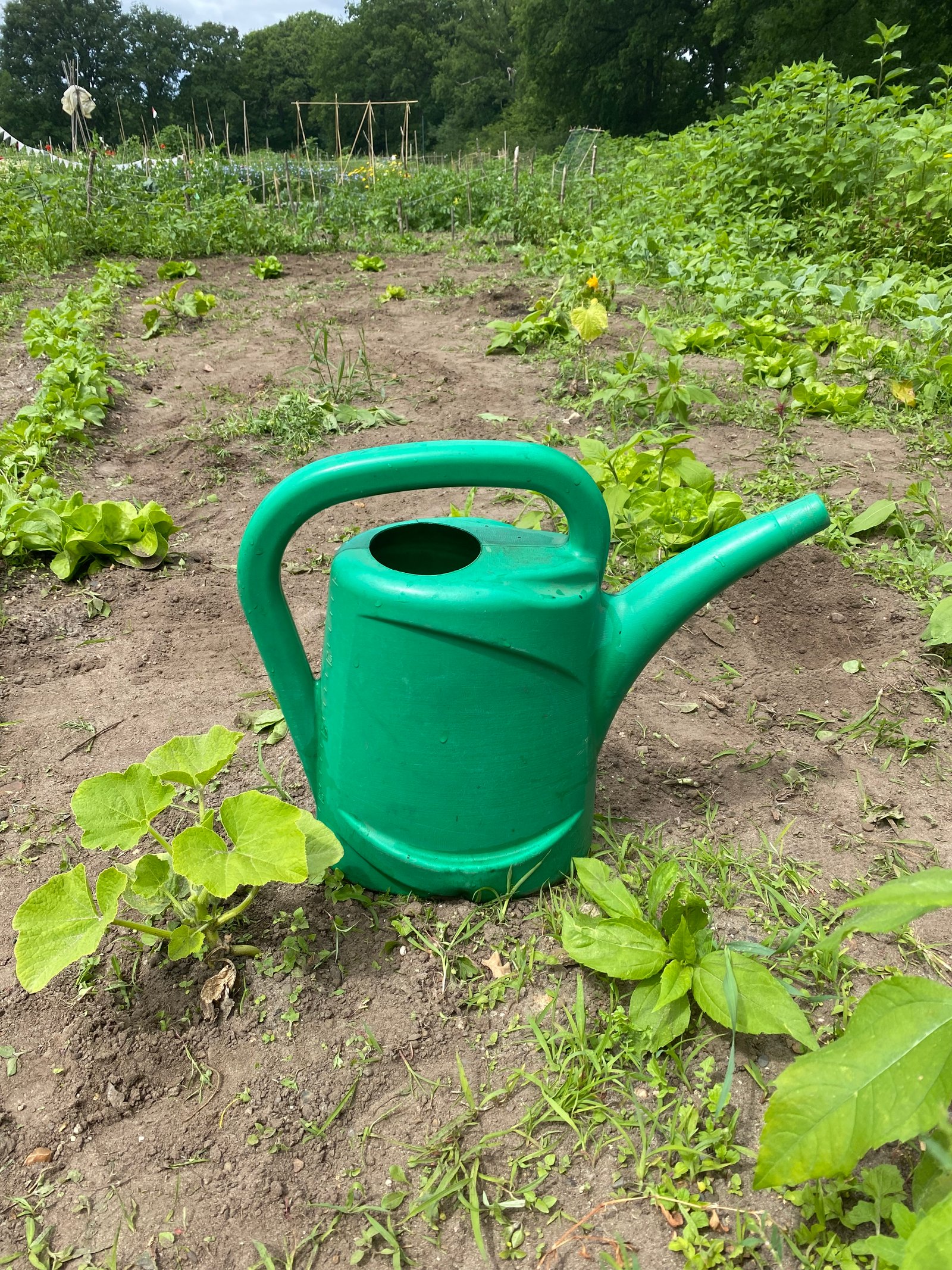 Gummistiefel im Ackerboden